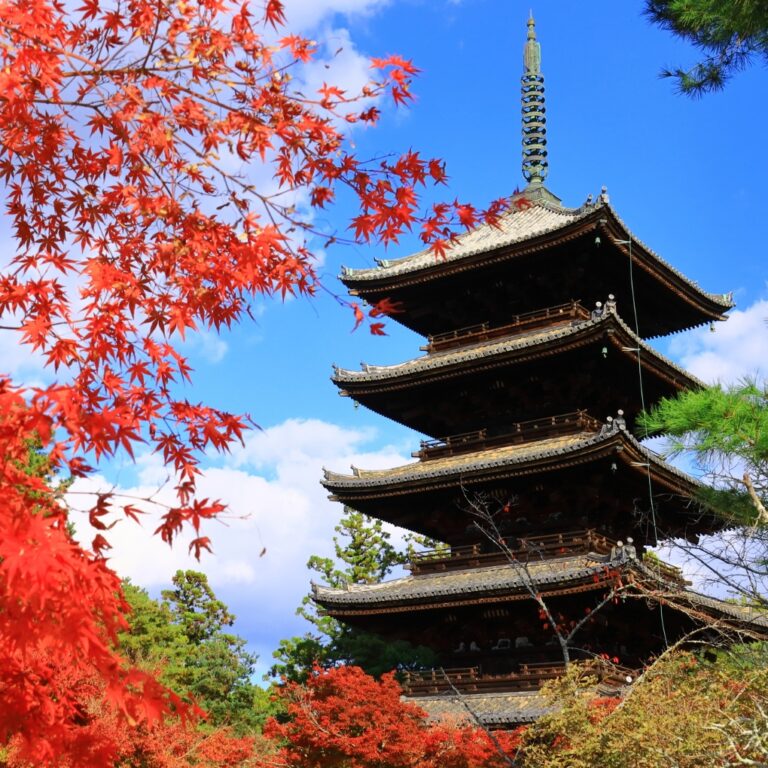 Ninnaji Temple | KYOTO TO DO